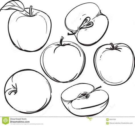 Apple Line Drawing Of Apples On A White Background One Color