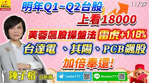 20231127 明年q1~q2台股上看18000芙蓉飆股操盤法 雷虎118台達電 、其陽、pcb飆股加倍奉還 陳子榕分析師