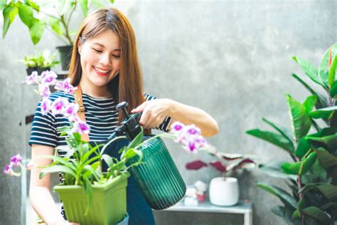 2.400+ Kebun Botani Singapura Foto Foto Stok, Potret, & Gambar Bebas ...