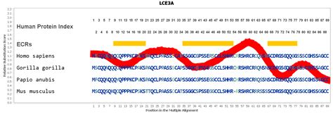 LCE3A Gene GeneCards LCE3A Protein LCE3A Antibody