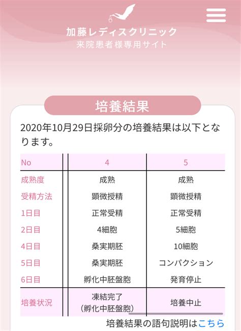 Klc 採卵11 Pgt A② まとめ わたしの妊活備忘録 ～44歳の不妊治療～