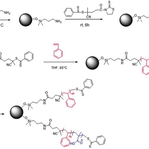 Synthetic Scheme Of Sio 2 G Ps Ps B Pmaa Using Reversed Monomer