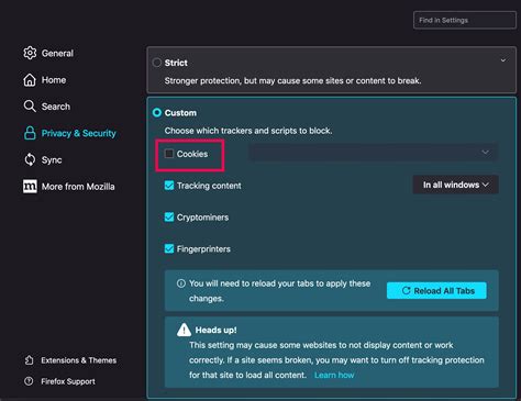 How To Allow Cookies In Browser Robots Net