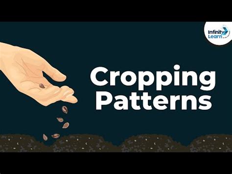 Different Cropping Patterns Video Lecture - UPSC