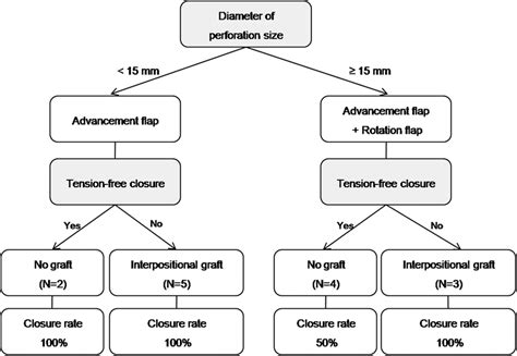 The Surgical Algorithm Of Septal Perforation Repair In Our Series