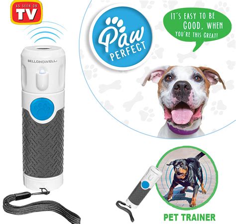 Paw Perfect Pet Trainer | The Lakeside Collection