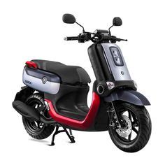 47 Moped mafia ideas | mini bike, honda ruckus, moped