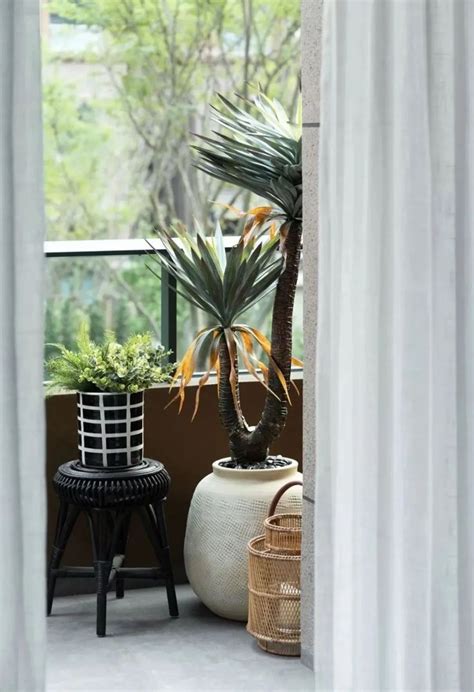 There Is A Potted Plant Next To A Stool On The Balcony With White Curtains