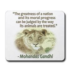 Animal Quotes By Gandhi. QuotesGram