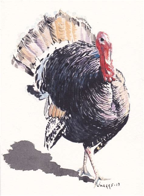 Image Result For Watercolor Turkey Original Watercolors Original