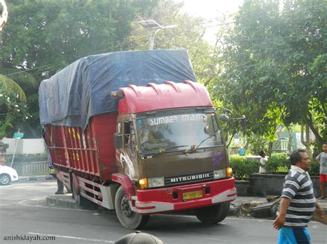 Sangpetualang Suatu Sore Di Taman Kota Denpasar