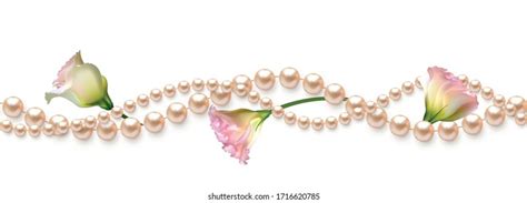 Pearl Border Photos Images And Pictures Shutterstock