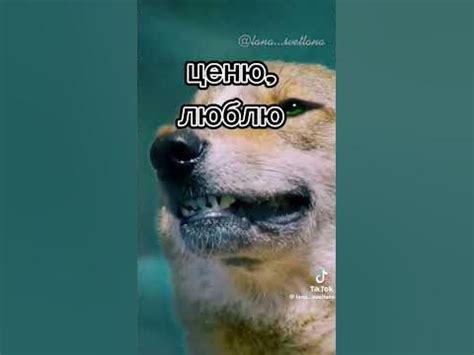 сильно сказано,,, - YouTube