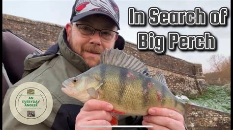 Kennet And Avon Canal In Search Of Big Perch YouTube