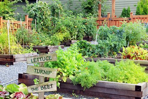 Your Vegetable Garden Can Be Beautiful Garden Design Sussex