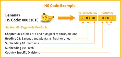 How To Find Hs Code