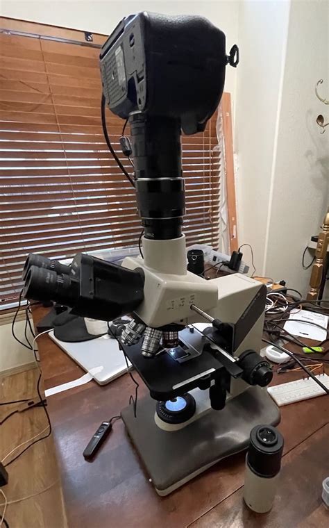 Eyepiece And Imaging Camera Parfocality Cloudy Days Microscopes