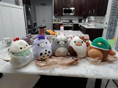 My First Squish Hunt Was A Big Success Squishmallow