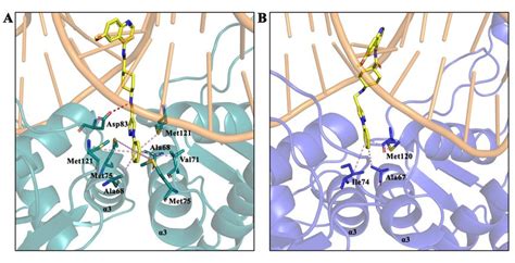 Predicted Binding Modes Of Obtained By Molecular Docking