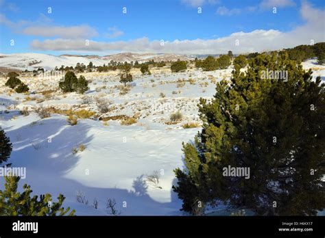 hike near the Great Sand Dunes National Park, Colorado in winter Stock Photo - Alamy