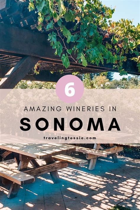 Amazing Sonoma County Wineries You Should Visit Artofit