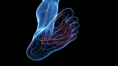 What is Peripheral Neuropathy? San Jose | Read Our Neuropathy Blog!