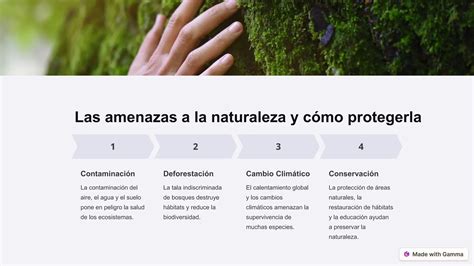 La Naturaleza Es Un Regalo De Dios Como Debemos Cuidarla Pptx