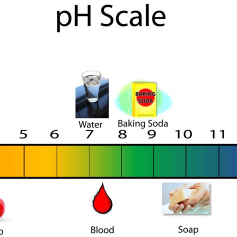 Acids Vs Bases