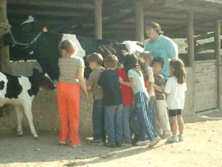 Visita A La Granja Excursiones Escolares A Granja Escuela Mundo