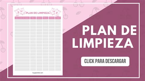 C Mo Crear Un Plan De Limpieza Que Funcione Para Ti