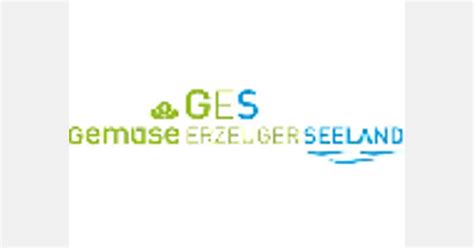 New market positioning and foundation of GES AG