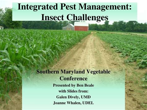 Ppt Integrated Pest Management Insect Challenges Powerpoint Presentation Id3272208