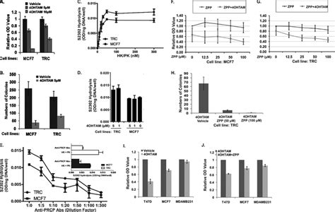 Mcf7 Cells That Acquired Resistance To 4ohtam Show Increased Prcp