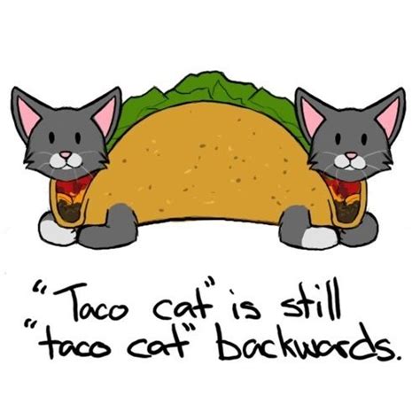 48 best Taco Cats images on Pinterest