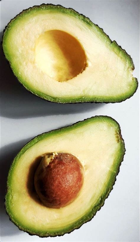 Pin by Ekaterina Bessonova on Авокадо | Avocado, Reference photos for ...