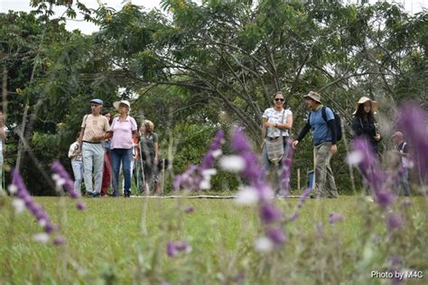 Ac Rcate Y Conoce El Parque Ambiental Coraz N De Pance