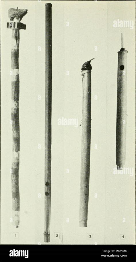 Bulletin United States National Museum 1926 20506231115 Stock