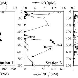 Vertical Distributions Of Nitrite No And Ammonium Nh In The