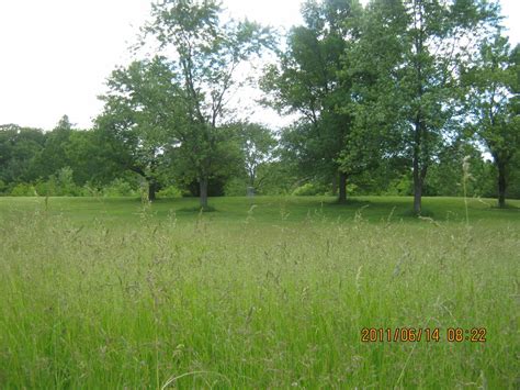 Hole 1 • Et Seton Park Toronto On Disc Golf Courses Disc Golf