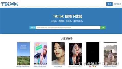 如何下载无水印的tiktok视频？ 知乎