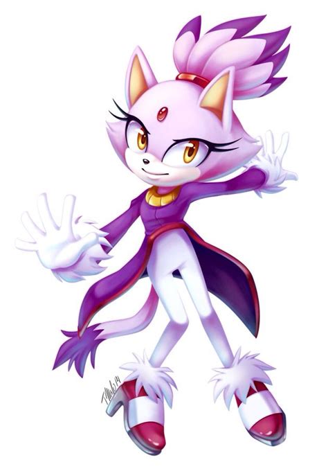 Blaze The Cat Sonic The Hedgehog Sonic And Shadow Sonic Fan Art