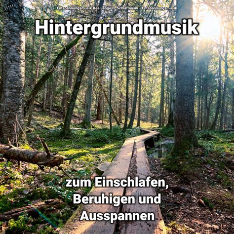 Hintergrundmusik Zum Einschlafen Beruhigen Und Ausspannen Album By