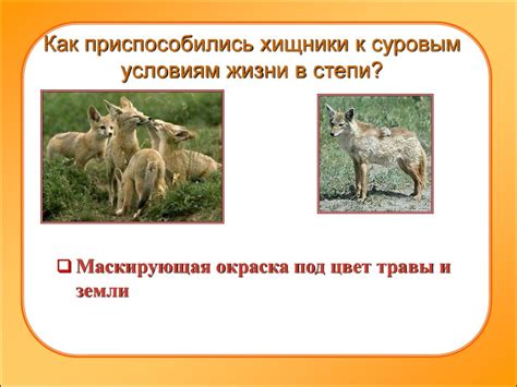 Природная зона степь - презентация онлайн