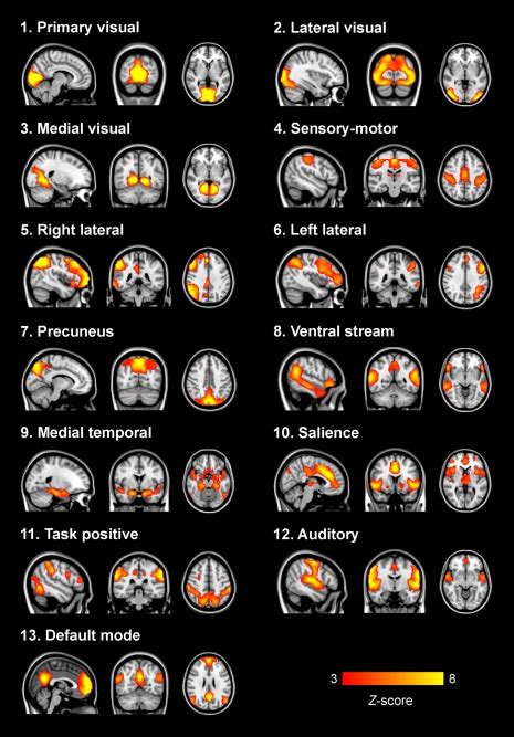 Group Ica Functionally Relevant Resting State Networks Depicted Here