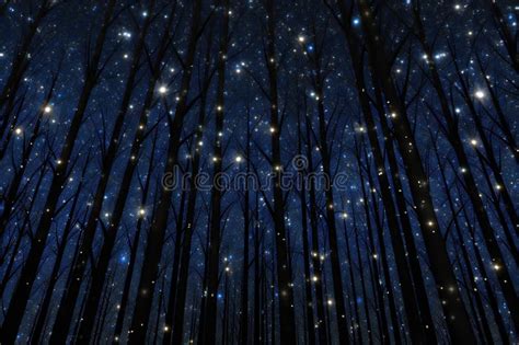 Night Forest with Stars in the Sky Stock Illustration - Illustration of ...