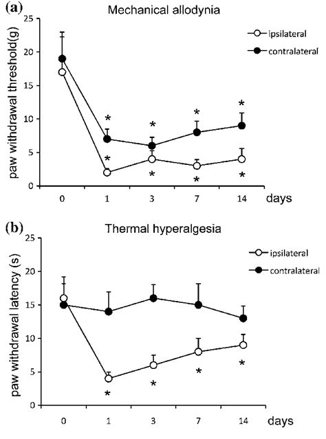 Time Course Of A Cfa Induced Mechanical Hyperalgesia And B Thermal