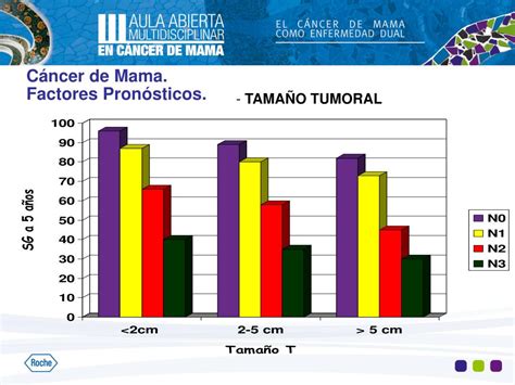 PPT Cambio en el Paradigma de la Clasificación Pronóstica