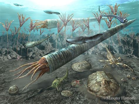 Ordovician Period Fossils Of Toronto And