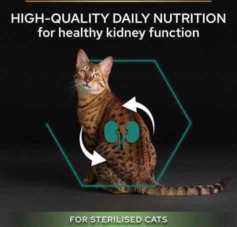 Proplan Purina Pro Plan Sterilised Adult Renal Plus Dry Cat Food With