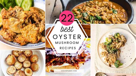 20+ Best Oyster Mushroom Recipes (Vegan) - Vegan Punks